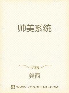 帅美系统