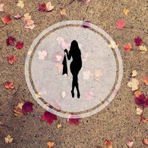 秘密女友备忘录之培训同居篇